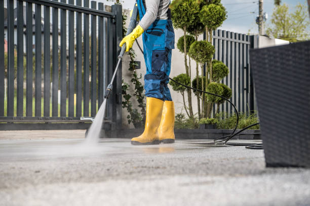 Best Roof Pressure Washing  in West Columbia, TX