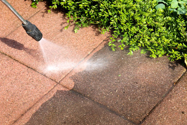 Best Roof Power Washing Services  in West Columbia, TX